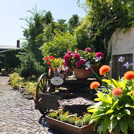 Apartment Im Flaeming -